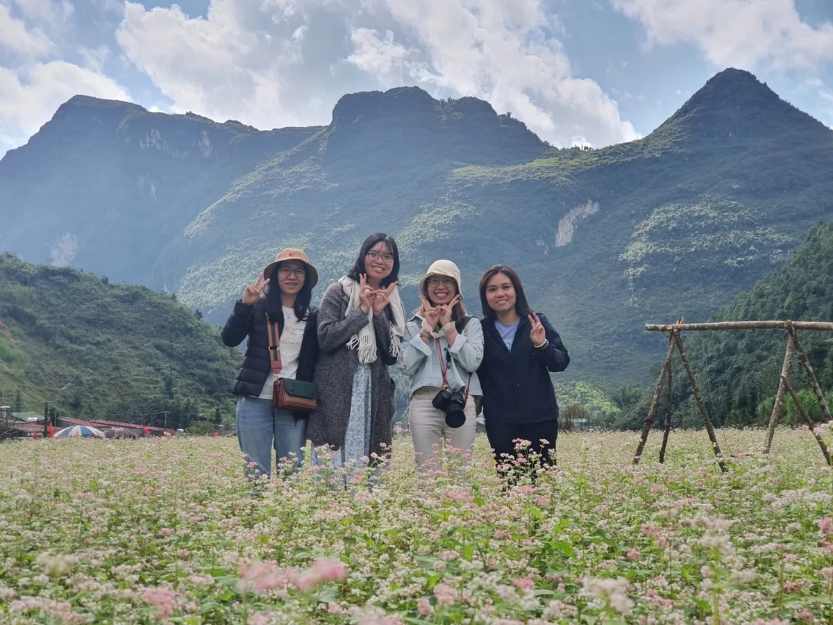 Four friends pose in a buckwheat flower field with the rugged limestone mountains of Ha Giang rising behind them.