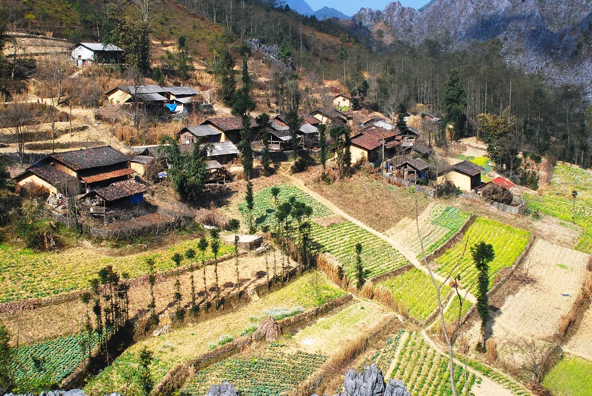 Aerial view of a mountain village with clustered rooftop houses and terraced vegetable fields in Ha Giang's rocky plateau.